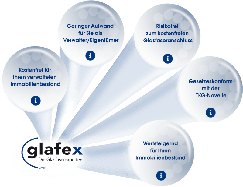 glafex - Die Glasfaserexperten